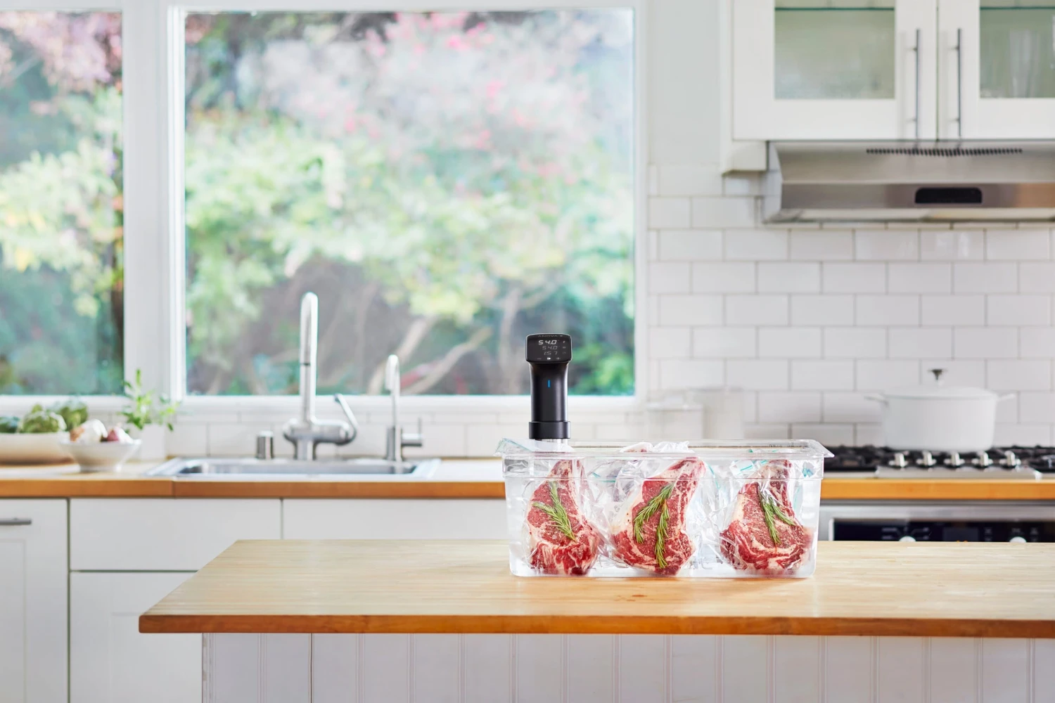 Anova Sous Vide Precision Cooker Pro 7 Anova Sous Vide Precision Cooker Pro - Image 7