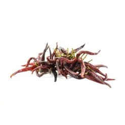 Guindilla Pepper Ristra - String Of 50 -Sous Chef Sales Boutique BD0026 GuindillaPepperRistra Stringof50