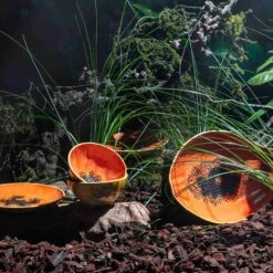 Bordallo Pinheiro Tropical Fruits Papaya Small Bowl, 14x14cm -Sous Chef Sales Boutique DC0207BordalloPinheiroTropicalFruitsServingPlatter PapayaLifestyle