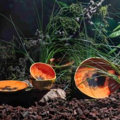 Bordallo Pinheiro Tropical Fruits Papaya Serving Platter, 35x23cm -Sous Chef Sales Boutique DC0207BordalloPinheiroTropicalFruitsServingPlatter PapayaLifestyle 1