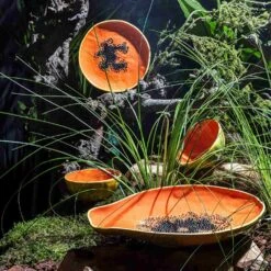 Bordallo Pinheiro Tropical Fruits Papaya Serving Platter, 35x23cm -Sous Chef Sales Boutique DC0207BordalloPinheiroTropicalFruitsServingPlatter Papayalifestyle 2