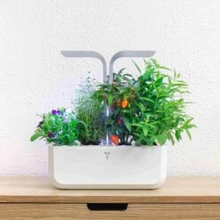 Veritable Classic Indoor Herb Garden -Sous Chef Sales Boutique HU0007VeritableClassicIndoorHerbGardenlifestyle2