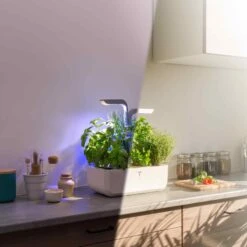 Veritable Classic Indoor Herb Garden -Sous Chef Sales Boutique HU0007VeritableClassicIndoorHerbGardenlifestyle3