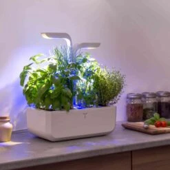 Veritable Classic Indoor Herb Garden -Sous Chef Sales Boutique HU0007VeritableClassicIndoorHerbGardenlifestyle4