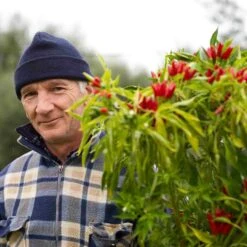 Galantino Puglian Olive Oil With Chilli In Terracotta Bottle 250ml -Sous Chef Sales Boutique chillioliveoil1