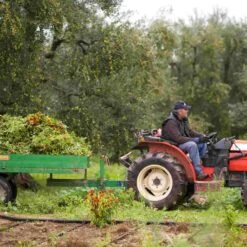 Galantino Puglian Olive Oil With Chilli In Terracotta Bottle 250ml -Sous Chef Sales Boutique chillioliveoil2
