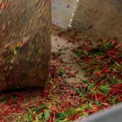 Galantino Puglian Olive Oil With Chilli In Terracotta Bottle 250ml -Sous Chef Sales Boutique chillioliveoil5