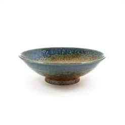 Chouseki Shallow Bowl 25cm