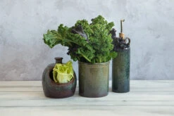 Lagoa Kitchen Utensils Jar -Sous Chef Sales Boutique lagoa utensil salt pig oil pourer