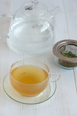 Glass Teacup & Saucer 400ml -Sous Chef Sales Boutique trendglas teacup stainless steel strainer portrait 89232653 a7dc 4db5 ab76 bf780edd145f